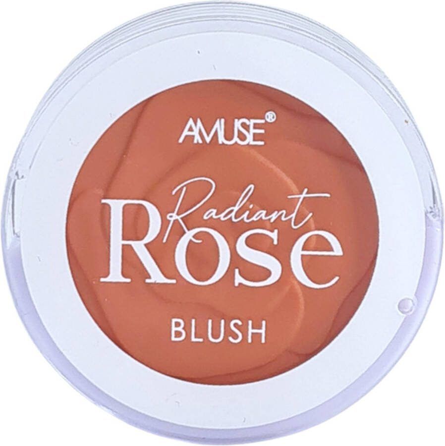 Amuse Radiant Rose Blush 01 Dusty Rose Rouge met spiegel 3.5 g