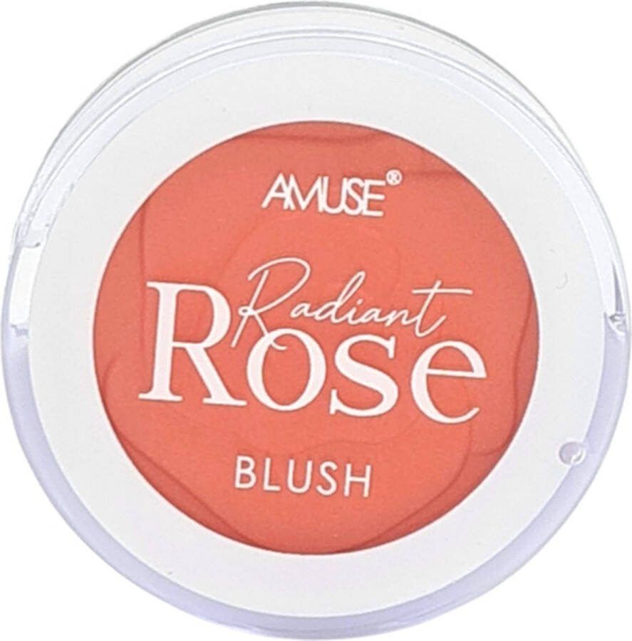 Amuse Radiant Rose Blush 02 Rose Garden Rouge met spiegel 3.5 g