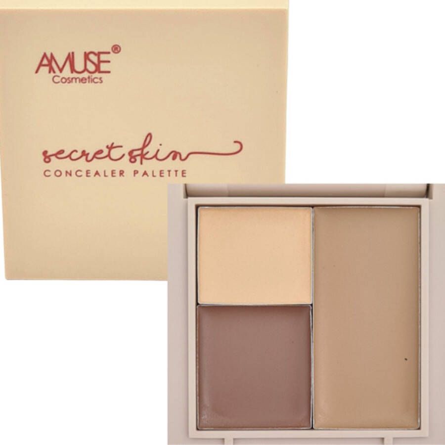 Amuse Secret Skin Concealer Palette 02 Medium Golden Concealer 5.3 g