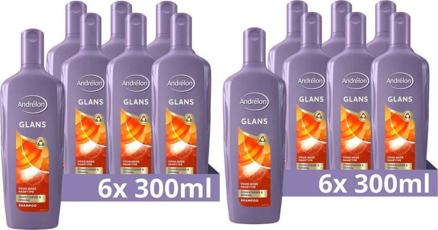 Andrélon Andrelon Shampoo Glans 300 ml Voordeelverpakking 12 stuks