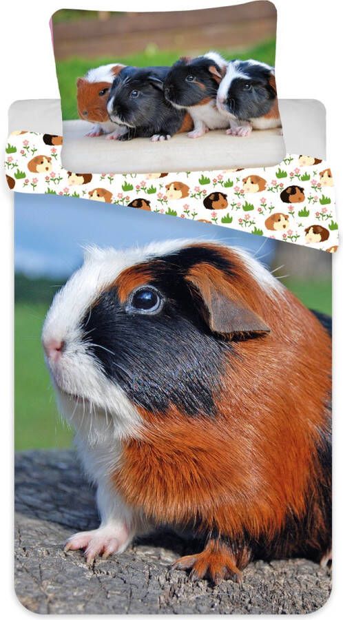 Animal Pictures Dekbedovertrek Cavia Eenpersoons 140 x 200 + 70 x 90 cm Katoen