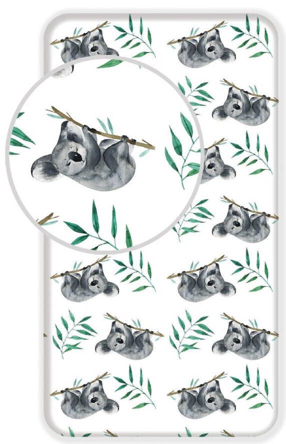 SimbaShop Animal Pictures Hoeslaken Koala Eenpersoons 90 x 200 cm Katoen