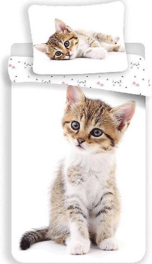 Animal Pictures Kitten Dekbedovertrek Eenpersoons 140 x 200 + 70 x 90 cm Katoen