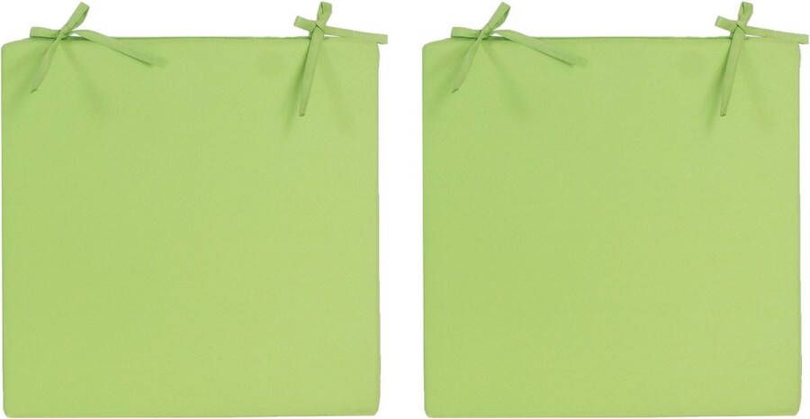 Anna's Collection 2x Stoelkussens voor binnen- en buitenstoelen in de kleur groen 40 x 40 cm Tuinstoelen kussens