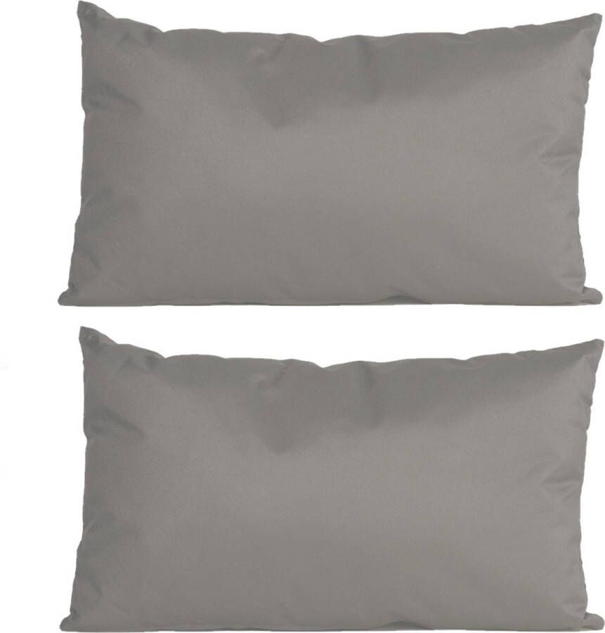 Anna's Collection 2x stuks bank Sier kussens voor binnen en buiten in de kleur grijs 30 x 50 cm Tuin huis kussens
