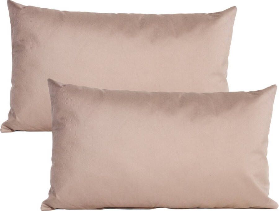 Anna's Collection Buiten of tuin sier kussens 2x taupe beige 30 x 50 cm binnen buiten zitkussens tuinbank