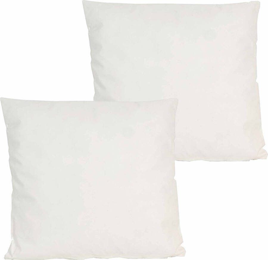 Anna's Collection buitenkussen 2x Ivoor wit- 60 x 60 cm binnen buiten