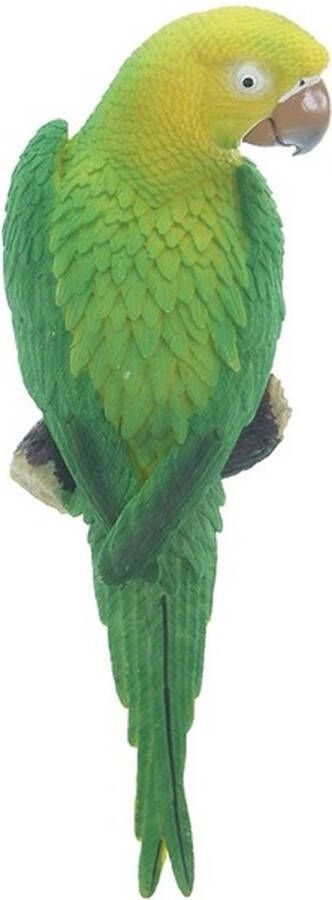 Anna's Collection Dierenbeeld groen gele ara papegaai vogel 31 cm tuinbeeld hangdecoratie Tuindecoraties Dierenbeelden