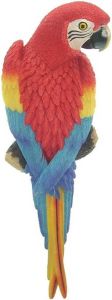 Anna's Collection Dierenbeeld rood ara papegaai vogel 31 cm tuinbeeld hangdecoratie Tuindecoraties Dierenbeelden
