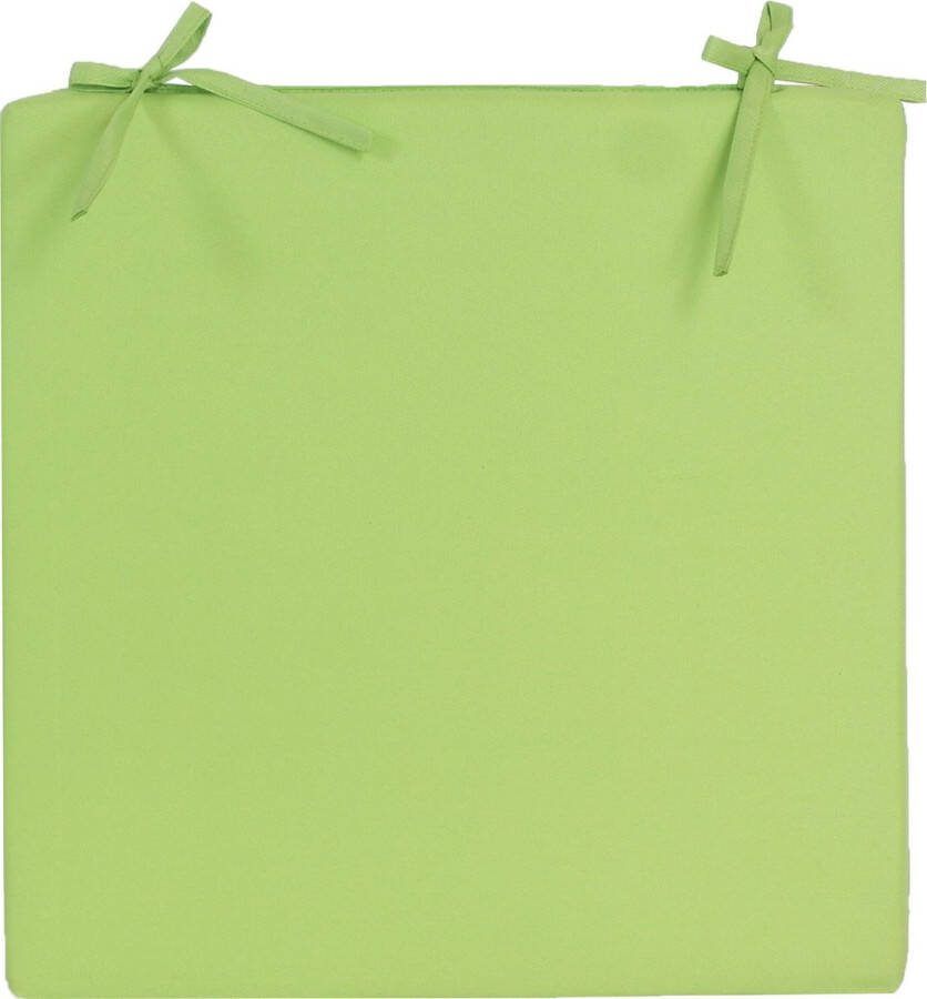 Anna's Collection Stoelkussen voor binnen en buiten in de kleur groen 40 x 40 cm Sierkussens