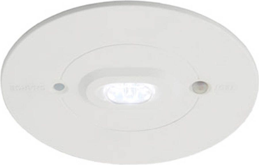 Ansell LED Noodverlichting Raven Vluchtroute Wit 3W 111lm 142x49D 865 Daglicht 110mm IP65 3 uur Noodverlichting Testknop