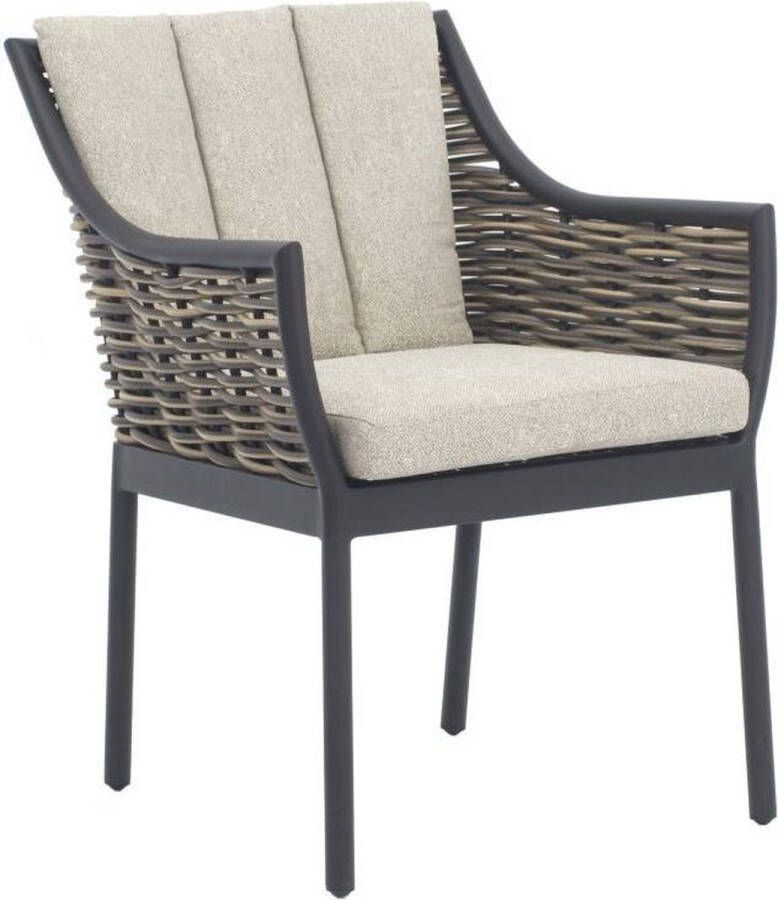 Apple Bee Milou dining armchair 62 biculair weaving Willow Bee Wett seat and back c