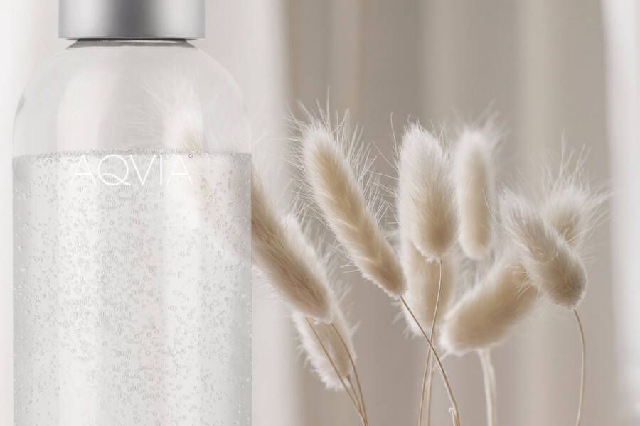 AQVIA PET Waterfles 1L Staal