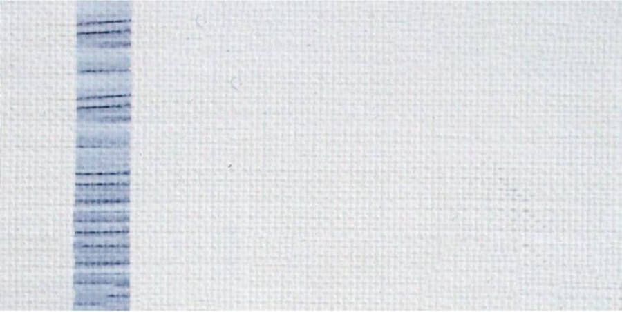 Ara Acrylverf 250 ML A2 Zinc White