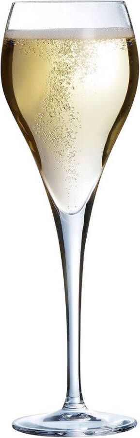 Arcoroc Vlak glas voor champagne en cava Brio Glas 6 Stuks (160 ml)