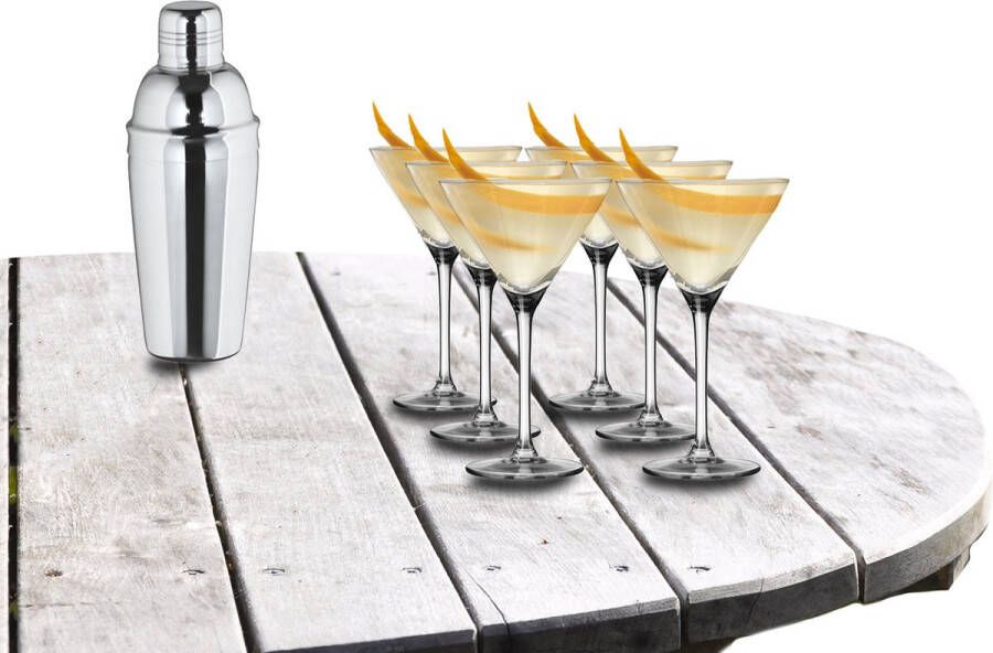Arcoroc Cocktailshaker 500 ML set met 6x stuks Martini cocktailglazen 260 ml