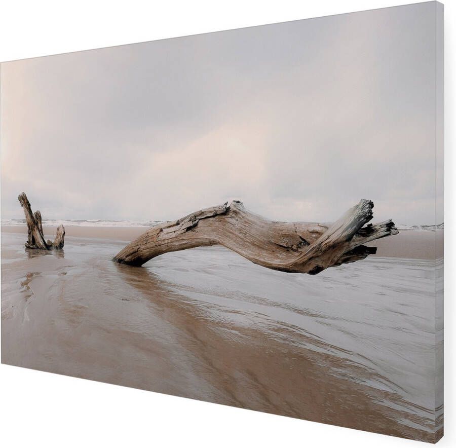 Merkloos Buitencanvas Met Weerbestendig Frame En Uv Beschermende Coating | Drijfhout | 50x70 Cm