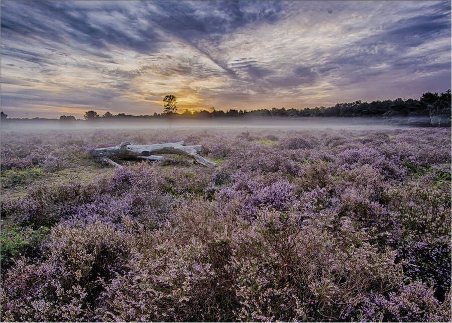 Merkloos Buitencanvas Met Weerbestendig Frame En Uv Beschermende Coating | Lavendelveld | 50x70 Cm