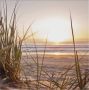 Merkloos Buitencanvas Met Weerbestendig Frame En Uv Beschermende Coating | Zonsondergang Duinen | 50x50 Cm - Thumbnail 1