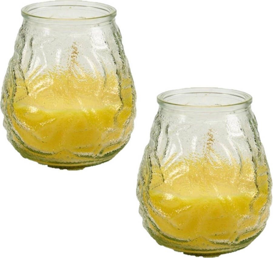 Arte r 2x stuks windlichten geurkaarsen citronella glas 10 cm Sfeerlichten citronellageur Waxinelichtjes Anti-muggen citronella