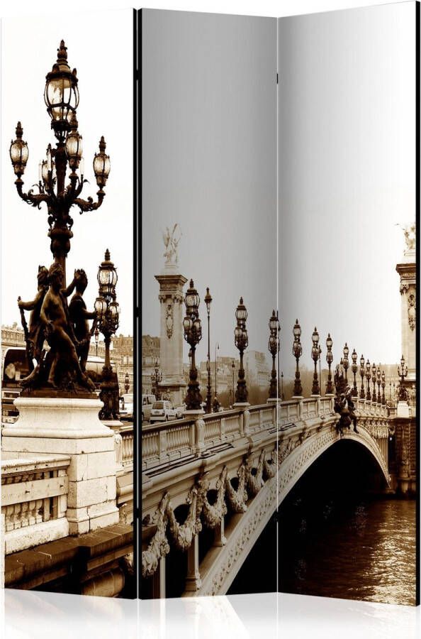 Artgeist Kamerscherm Scheidingswand Vouwscherm Alexander III Bridge Paris [Room Dividers] 135x172 Vouwscherm