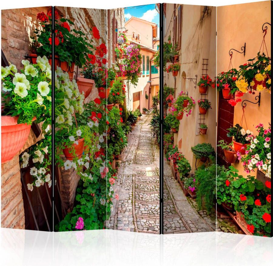 Artgeist Kamerscherm Scheidingswand Vouwscherm Alley in Umbria II [Room Dividers] 225x172 Vouwscherm