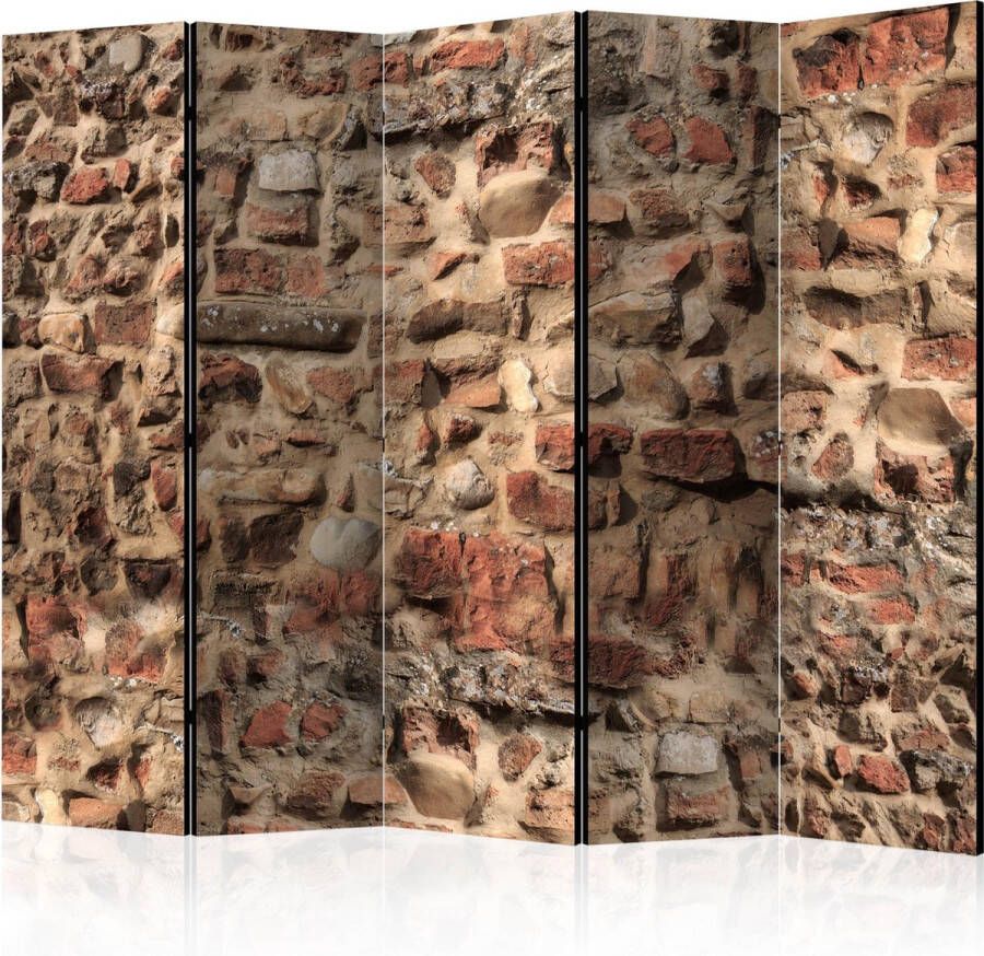 Artgeist Kamerscherm Scheidingswand Vouwscherm Ancient Wall II [Room Dividers] 225x172 Vouwscherm