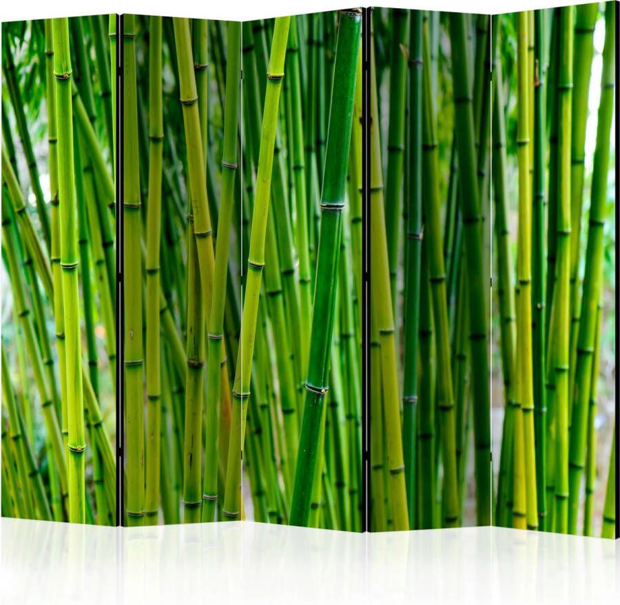 Artgeist Kamerscherm Scheidingswand Vouwscherm Bamboo Forest II [Room Dividers] 225x172 Vouwscherm