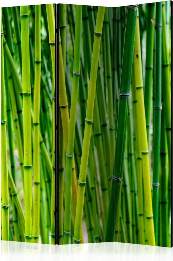Artgeist Kamerscherm Scheidingswand Vouwscherm Bamboo Forest [Room Dividers] 135x172 Vouwscherm
