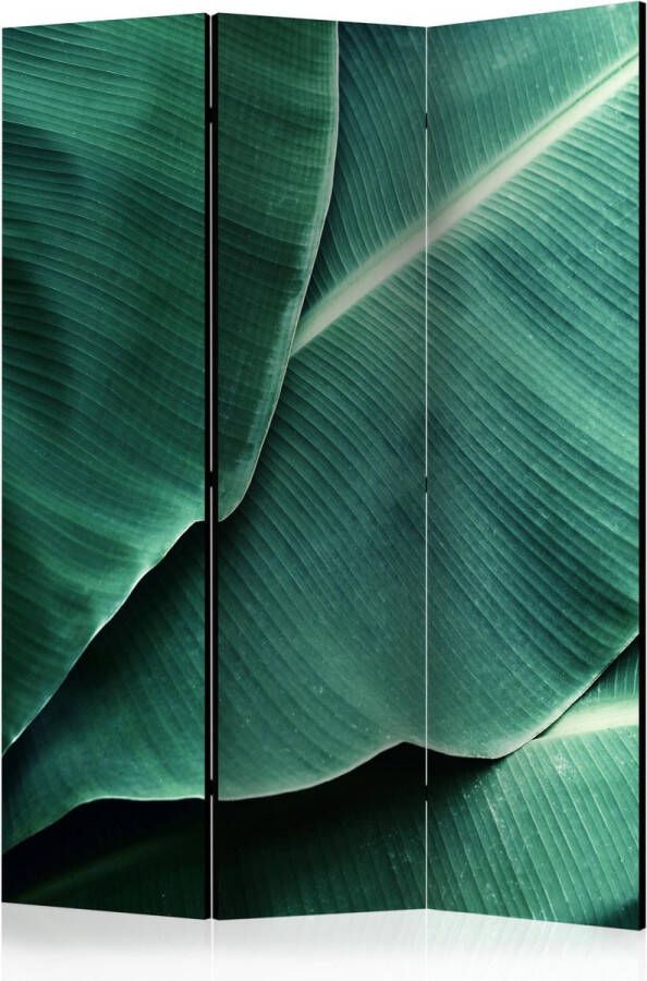 Artgeist Kamerscherm Scheidingswand Vouwscherm Banana Leaf [Room Dividers] 135x172 Vouwscherm