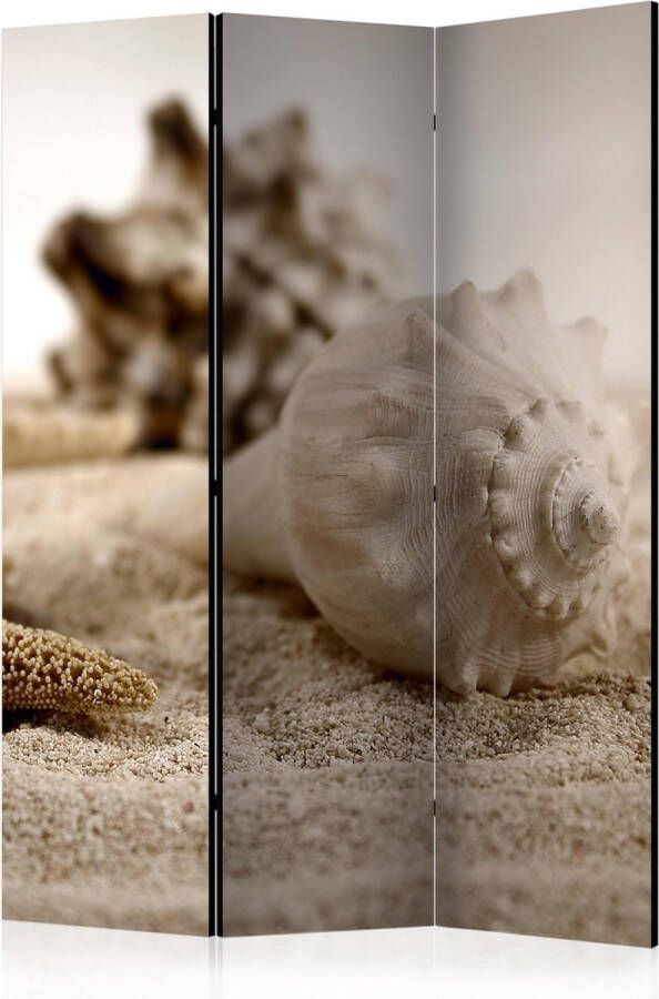 Artgeist Kamerscherm Scheidingswand Vouwscherm Beach and shell [Room Dividers] 135x172 Vouwscherm