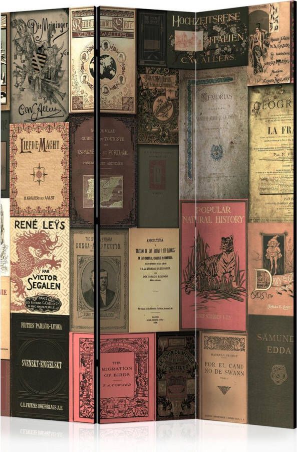 Artgeist Kamerscherm Scheidingswand Vouwscherm Books of Paradise [Room Dividers] 135x172 Vouwscherm