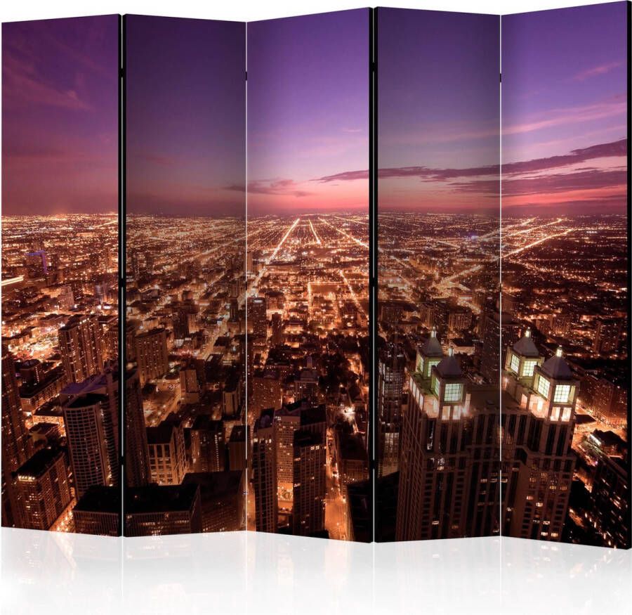 Artgeist Kamerscherm Scheidingswand Vouwscherm Chicago Panorama II [Room Dividers] 225x172 Vouwscherm