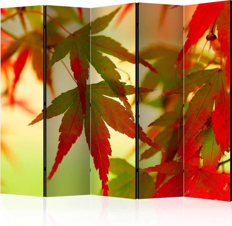 Artgeist Kamerscherm Scheidingswand Vouwscherm Colourful leaves II [Room Dividers] 225x172 Vouwscherm