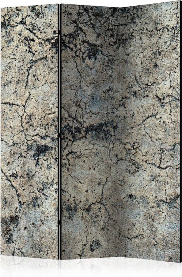 Artgeist Kamerscherm Scheidingswand Vouwscherm Cracked Stone [Room Dividers] 135x172 Vouwscherm