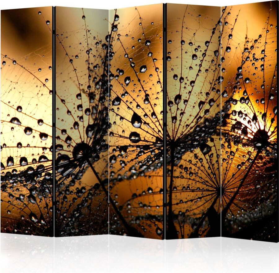 Artgeist Kamerscherm Scheidingswand Vouwscherm Dandelions in the Rain II [Room Dividers] 225x172 Vouwscherm