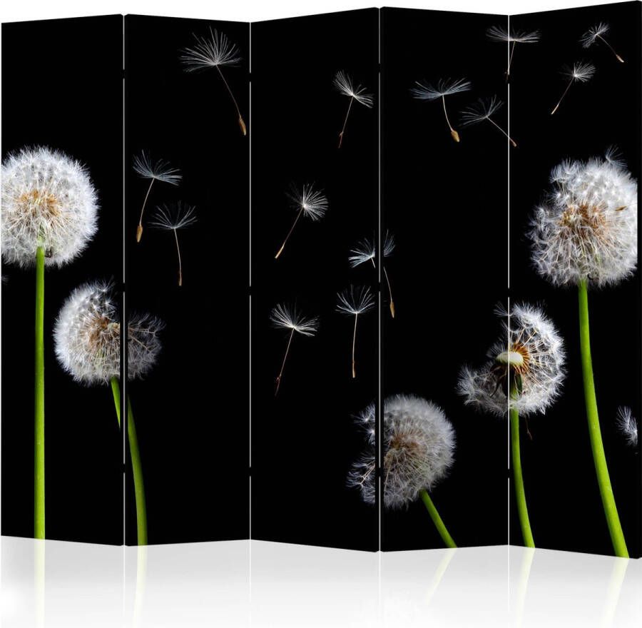 Artgeist Kamerscherm Scheidingswand Vouwscherm Dandelions in the wind II [Room Dividers] 225x172 Vouwscherm