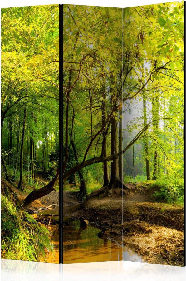 Artgeist Kamerscherm Scheidingswand Vouwscherm Forest Clearing [Room Dividers] 135x172 Vouwscherm