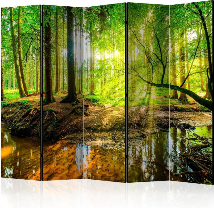 Artgeist Kamerscherm Scheidingswand Vouwscherm Forest Stream II [Room Dividers] 225x172 Vouwscherm