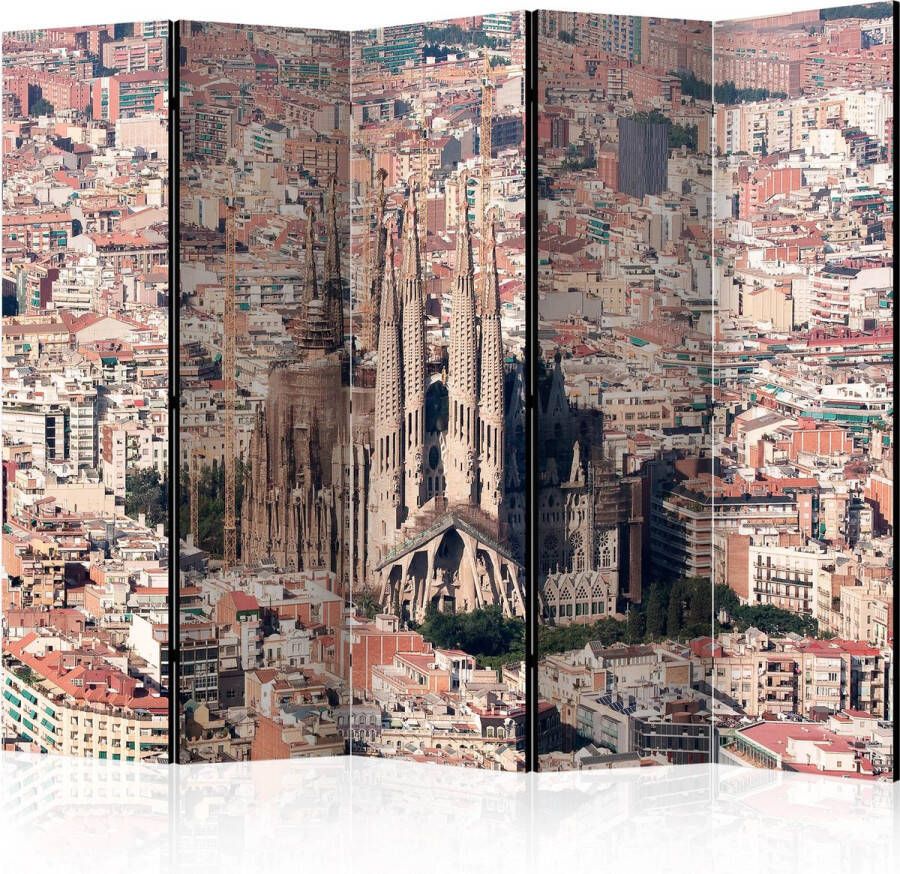 Artgeist Kamerscherm Scheidingswand Vouwscherm Heart of Barcelona II [Room Dividers] 225x172 Vouwscherm