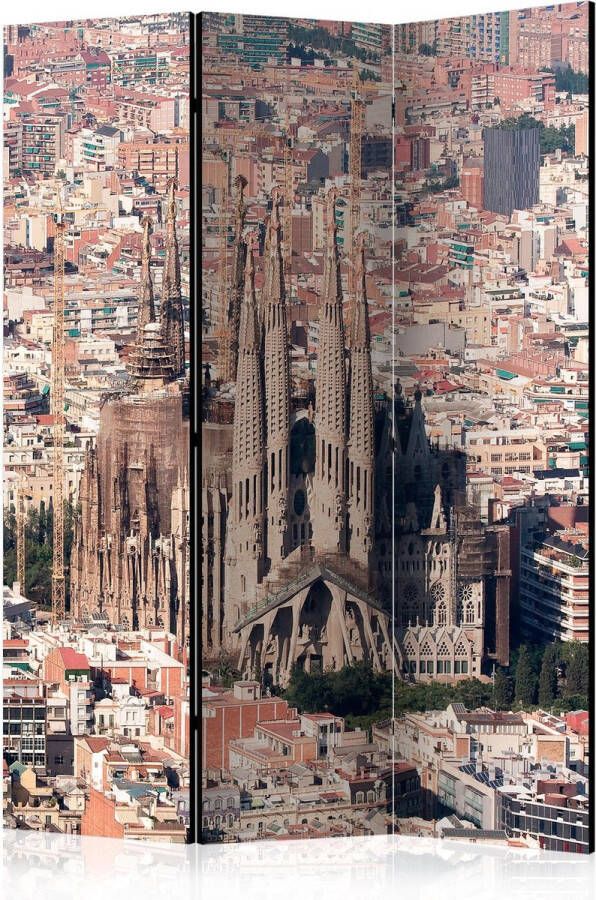 Artgeist Kamerscherm Scheidingswand Vouwscherm Heart of Barcelona [Room Dividers] 135x172 Vouwscherm