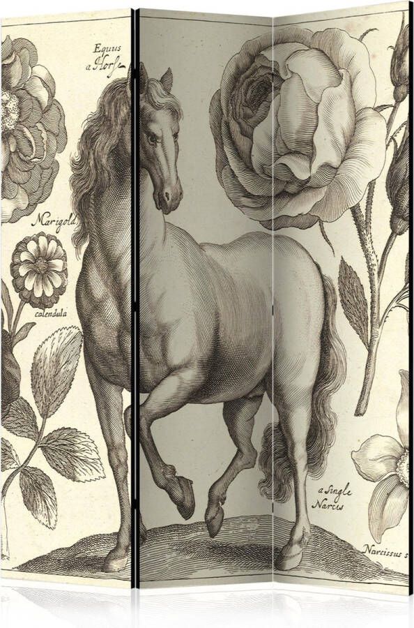 Artgeist Kamerscherm Scheidingswand Vouwscherm Horse [Room Dividers] 135x172 Vouwscherm