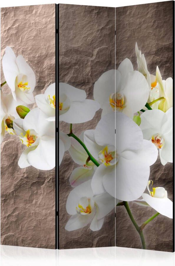 Artgeist Kamerscherm Scheidingswand Vouwscherm Impeccability of the Orchid [Room Dividers] 135x172 Vouwscherm