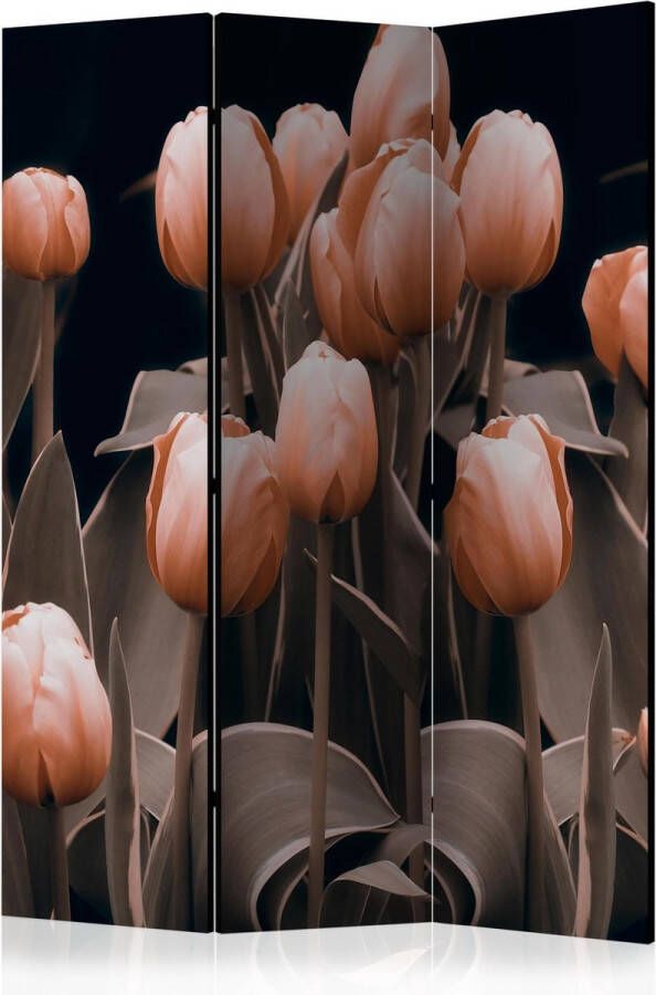 Artgeist Kamerscherm Scheidingswand Vouwscherm Ladies among the flowers [Room Dividers] 135x172 Vouwscherm
