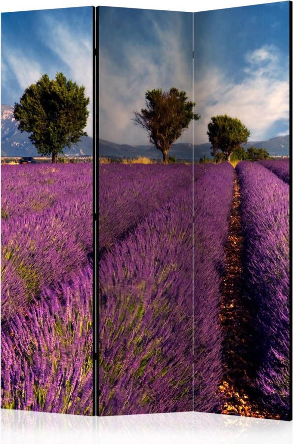 Artgeist Kamerscherm Scheidingswand Vouwscherm Lavender field in Provence France [Room Dividers] 135x172 Vouwscherm