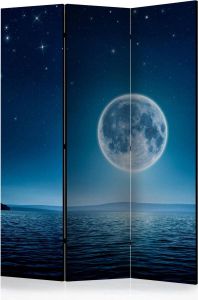 Artgeist Kamerscherm Scheidingswand Vouwscherm Moonlit night [Room Dividers] 135x172 Vouwscherm