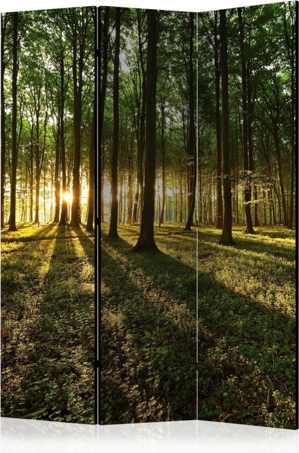 Artgeist Kamerscherm Scheidingswand Vouwscherm Morning in the Forest [Room Dividers] 135x172 Vouwscherm
