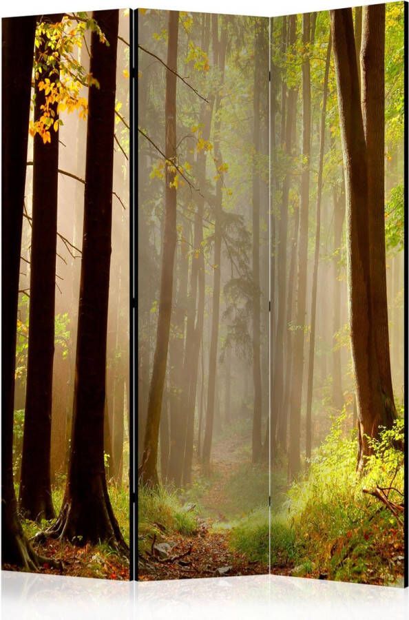 Artgeist Kamerscherm Scheidingswand Vouwscherm Mysterious forest path [Room Dividers] 135x172 Vouwscherm