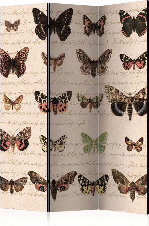 Artgeist Kamerscherm Scheidingswand Vouwscherm Retro Style: Butterflies [Room Dividers] 135x172 Vouwscherm
