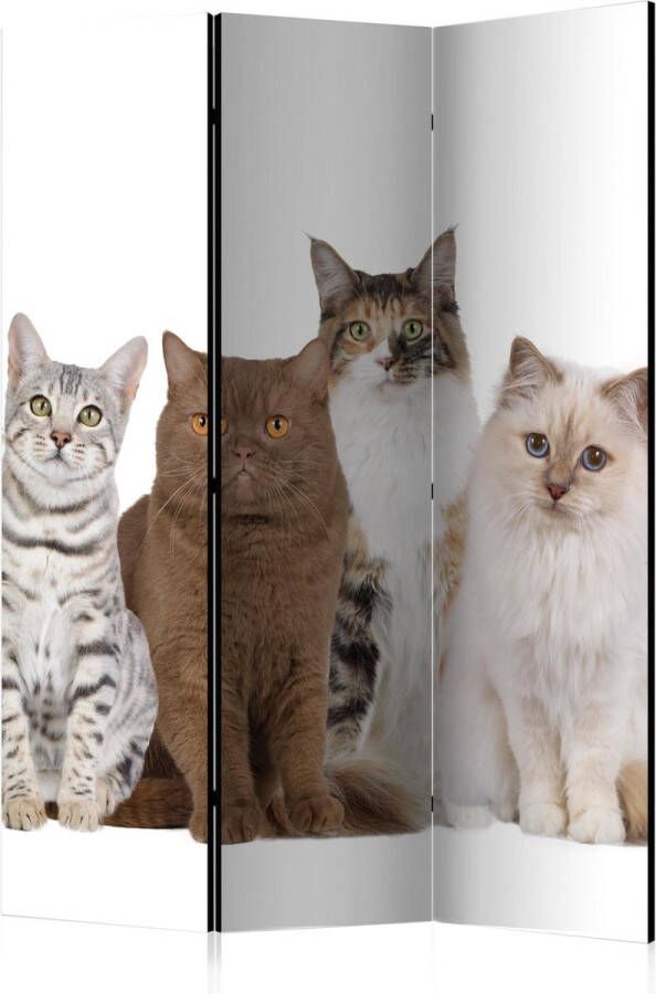 Artgeist Kamerscherm Scheidingswand Vouwscherm Sweet Cats [Room Dividers] 135x172 Vouwscherm
